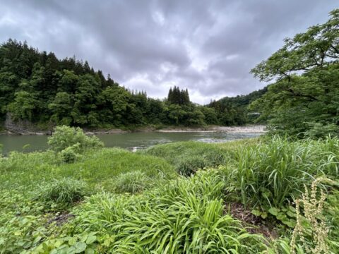 津南町の自然