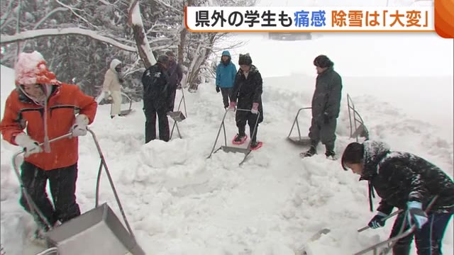 「去年の倍でビビった…」早稲田大学の学生が新潟県の山間地域で除雪ボランティア　オーストラリアからの留学生も