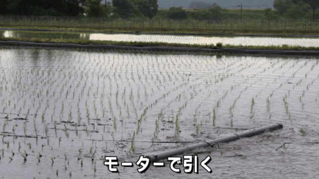 自社開発のチェーンの除草機