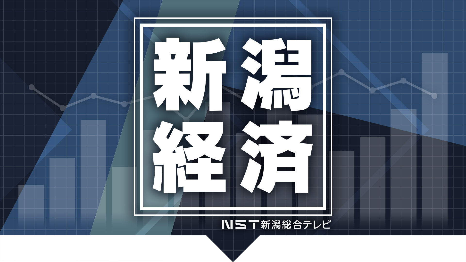 ソフトウェア開発を手がけるIT企業が破産手続き　DX・ITコンサルティング手がけるも業績伸び悩む　負債は約4670万円の見込み　新潟・長岡市