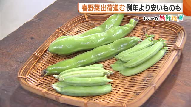 “豆類”で疲労回復！おすすめは“そら豆”「色が濃くずっしりとしたもの選んで」